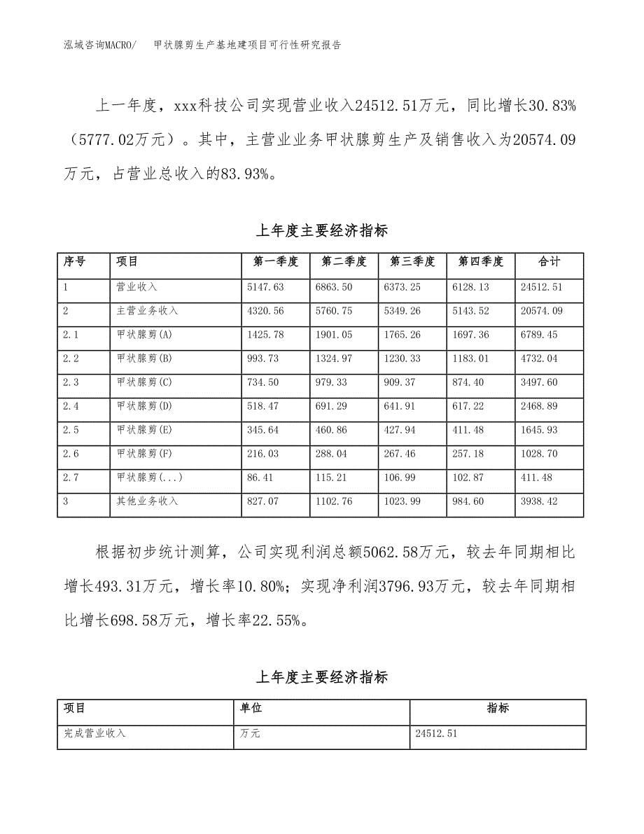 （模板）甲状腺剪生产基地建项目可行性研究报告_第5页