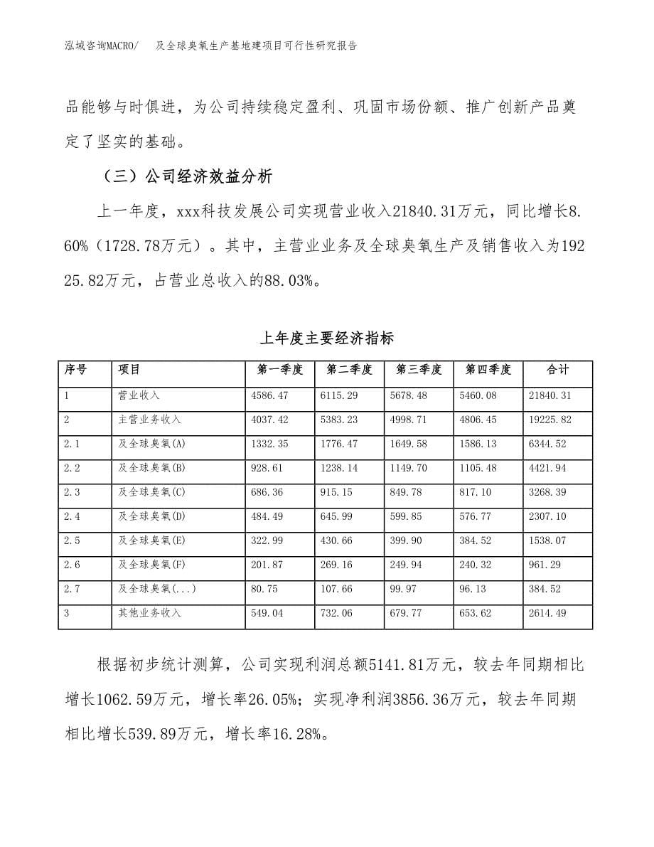 （模板）及全球臭氧生产基地建项目可行性研究报告_第5页