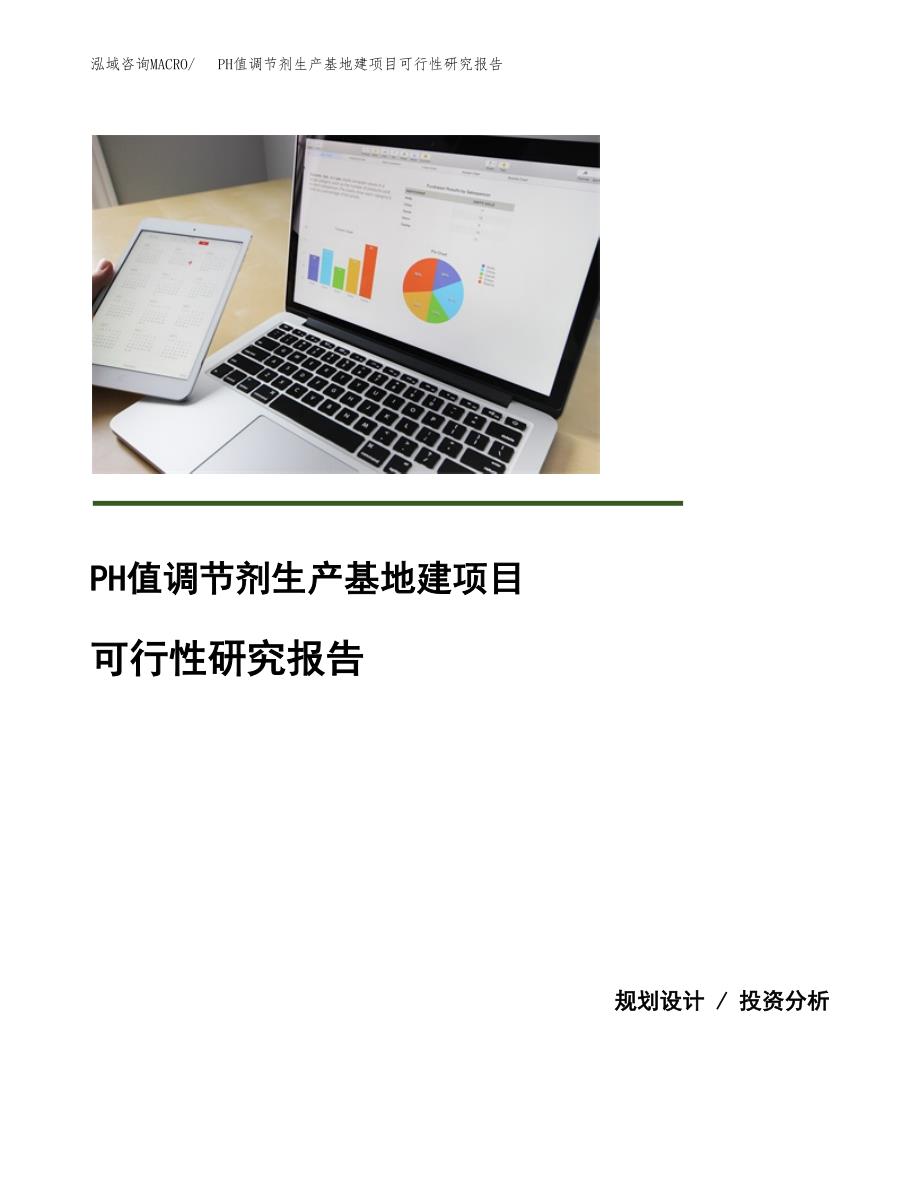 （模板）PH值调节剂生产基地建项目可行性研究报告_第1页