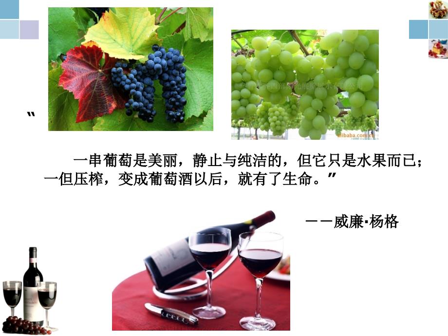 红酒知识大全-葡萄酒赏析入门(ppt 80)_第2页