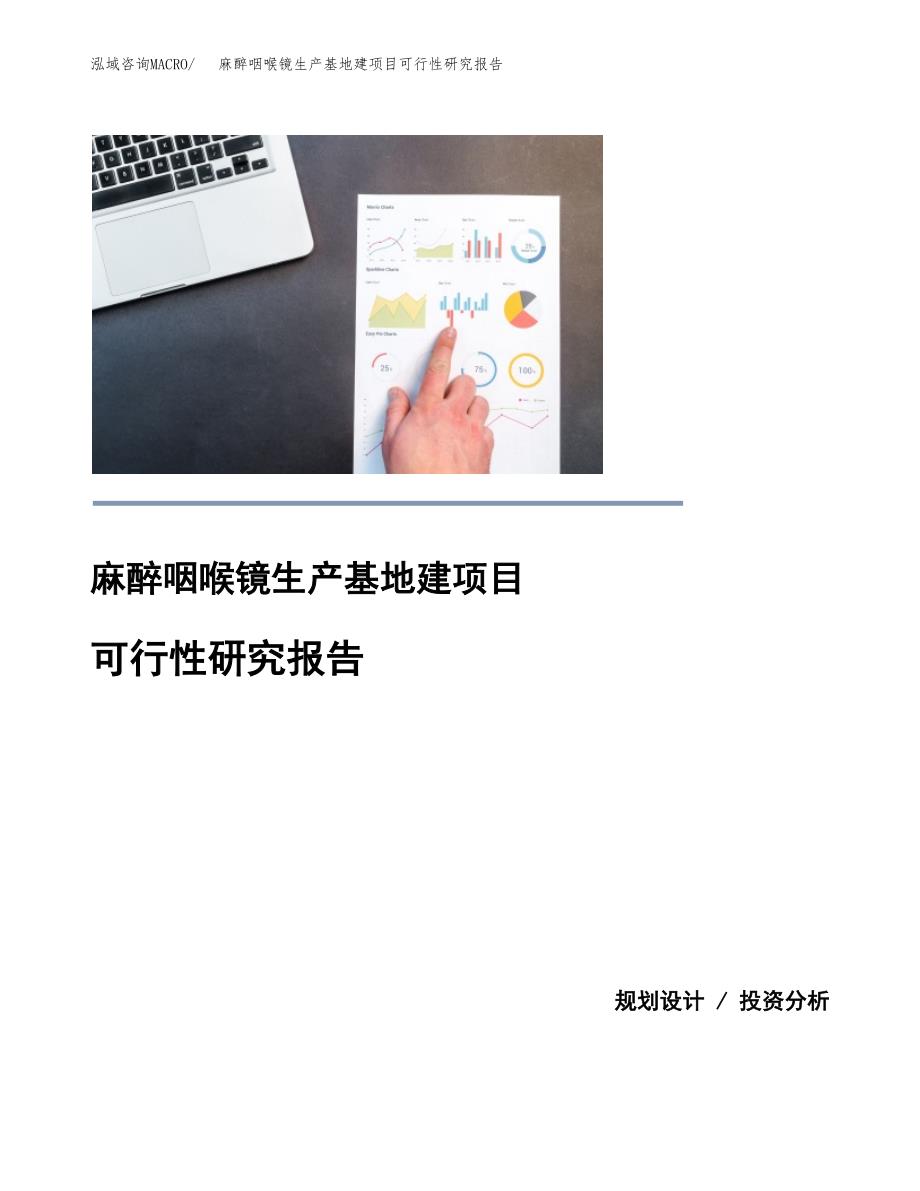 （模板）麻醉咽喉镜生产基地建项目可行性研究报告_第1页