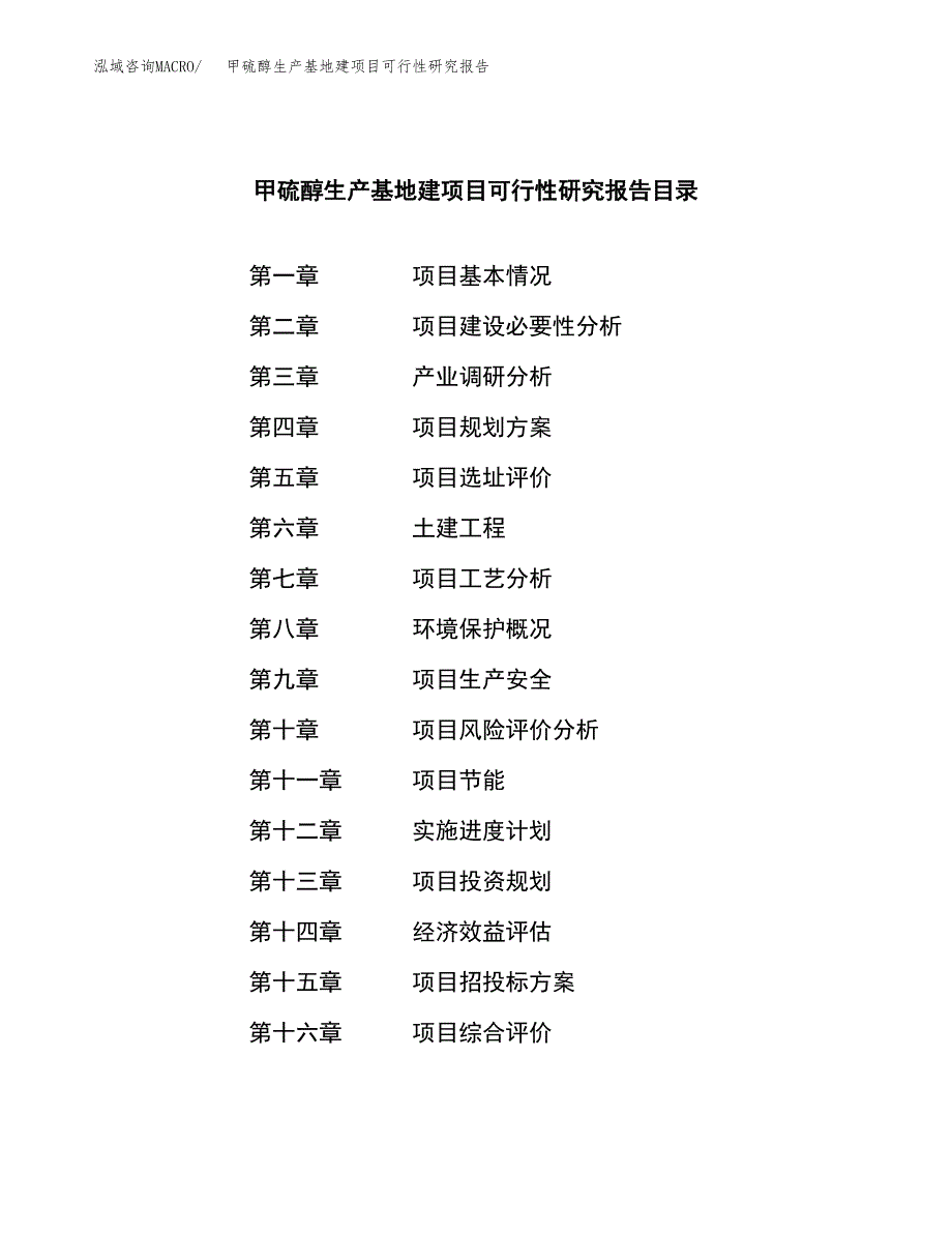 （模板）甲硫醇生产基地建项目可行性研究报告_第4页