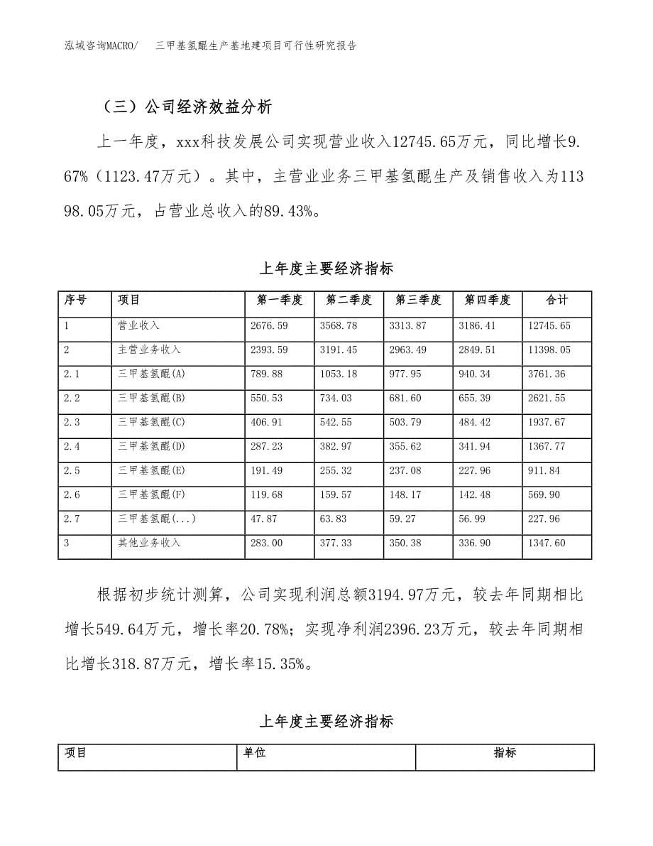 （模板）三甲基氢醌生产基地建项目可行性研究报告_第5页