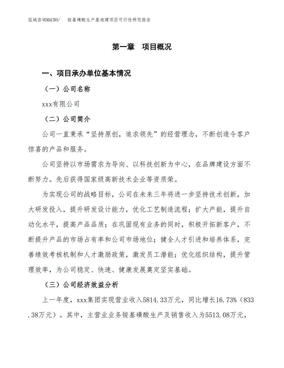 （模板）铵基磺酸生产基地建项目可行性研究报告 (1)_第4页