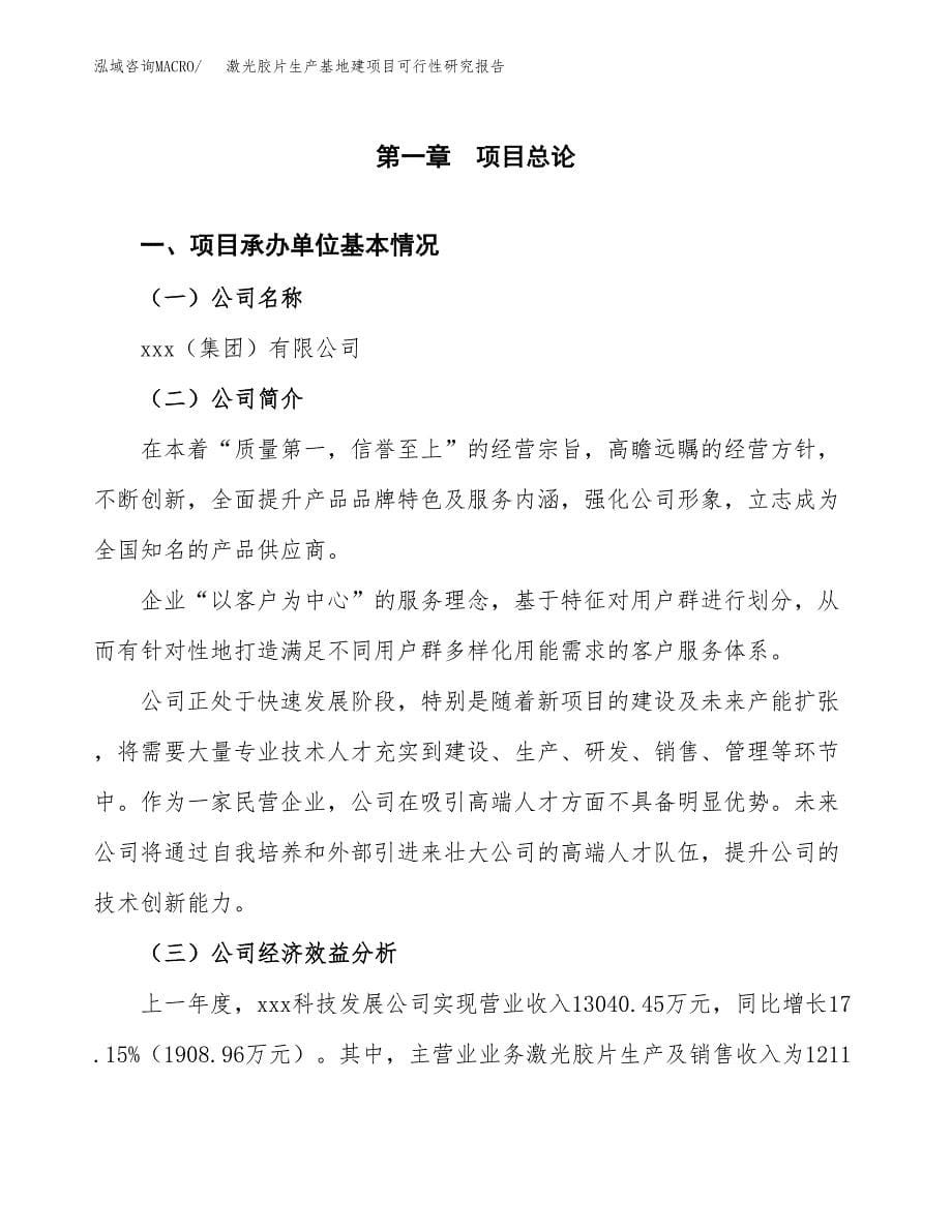 （模板）激光胶片生产基地建项目可行性研究报告_第5页