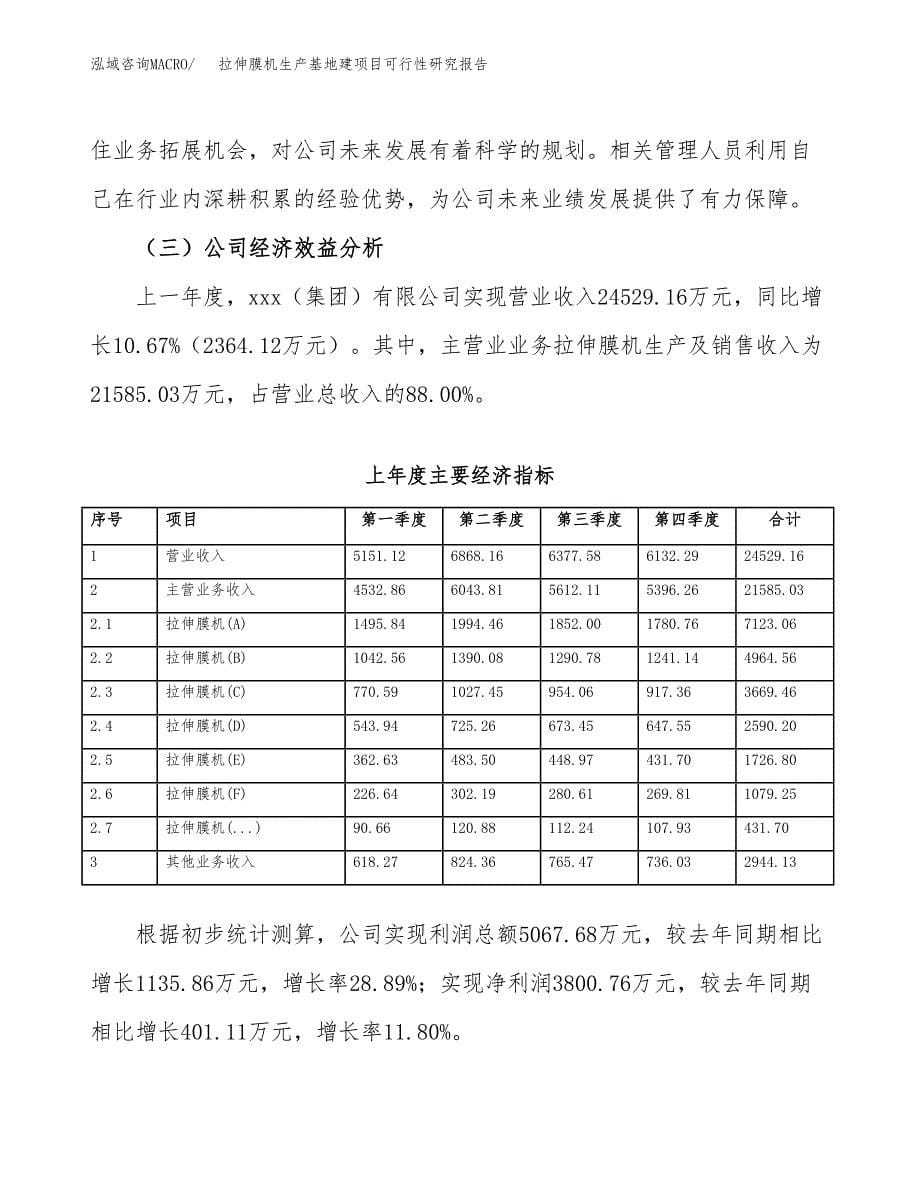 （模板）拉伸膜机生产基地建项目可行性研究报告_第5页