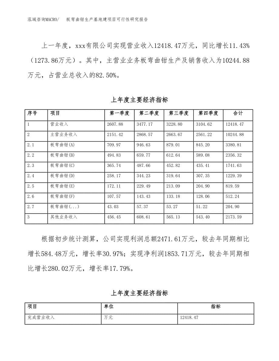 （模板）板弯曲钳生产基地建项目可行性研究报告_第5页