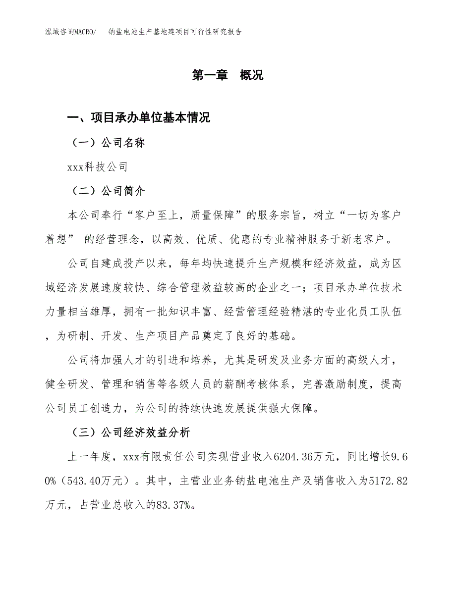 （模板）钠盐电池生产基地建项目可行性研究报告_第4页