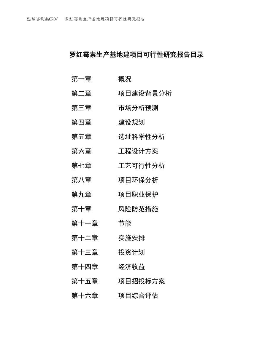 （模板）罗红霉素生产基地建项目可行性研究报告_第3页