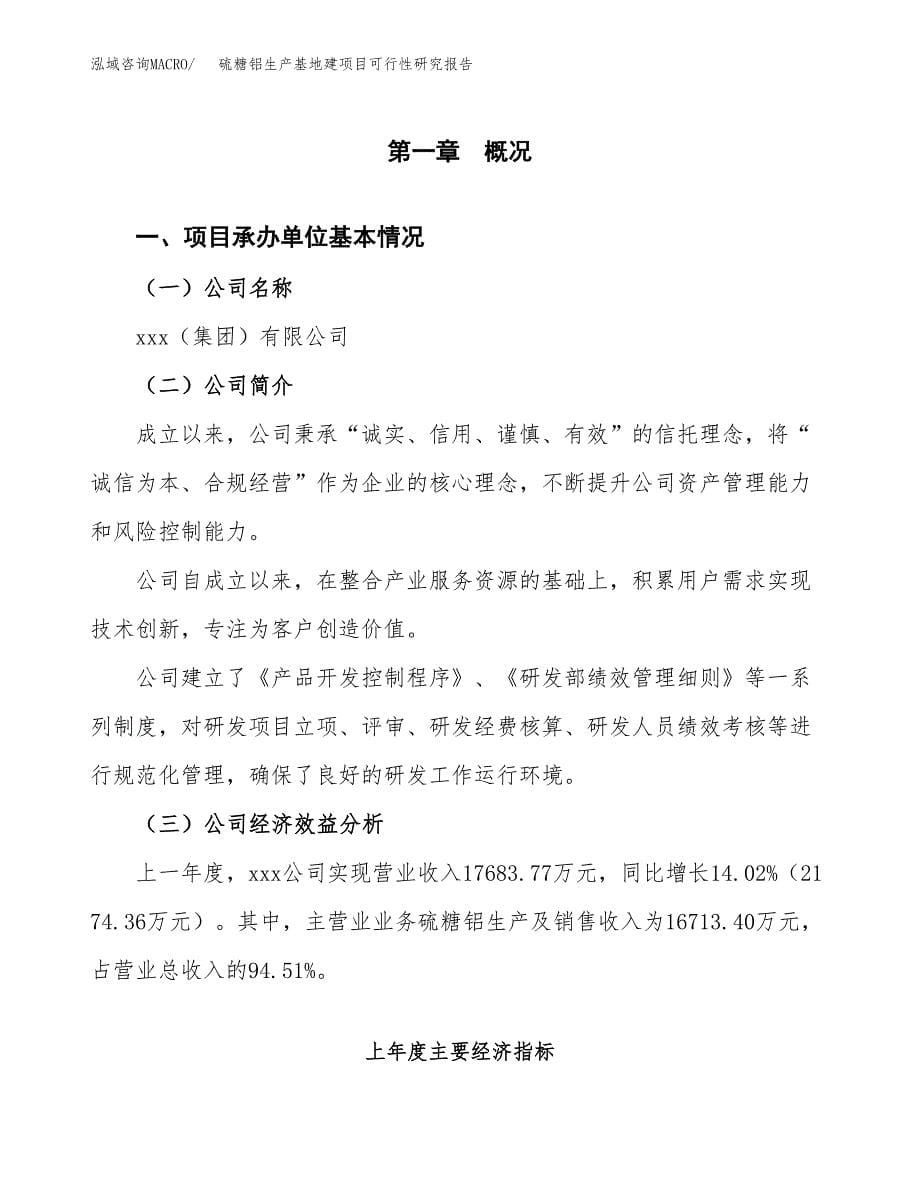 （模板）硫糖铝生产基地建项目可行性研究报告_第5页