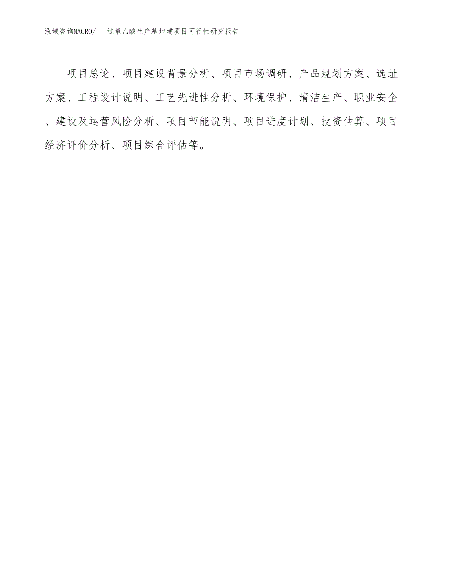 （模板）过氧乙酸生产基地建项目可行性研究报告_第3页