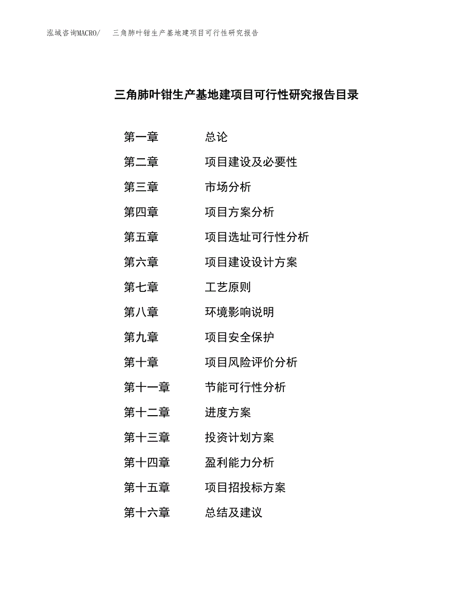 （模板）三角肺叶钳生产基地建项目可行性研究报告_第3页