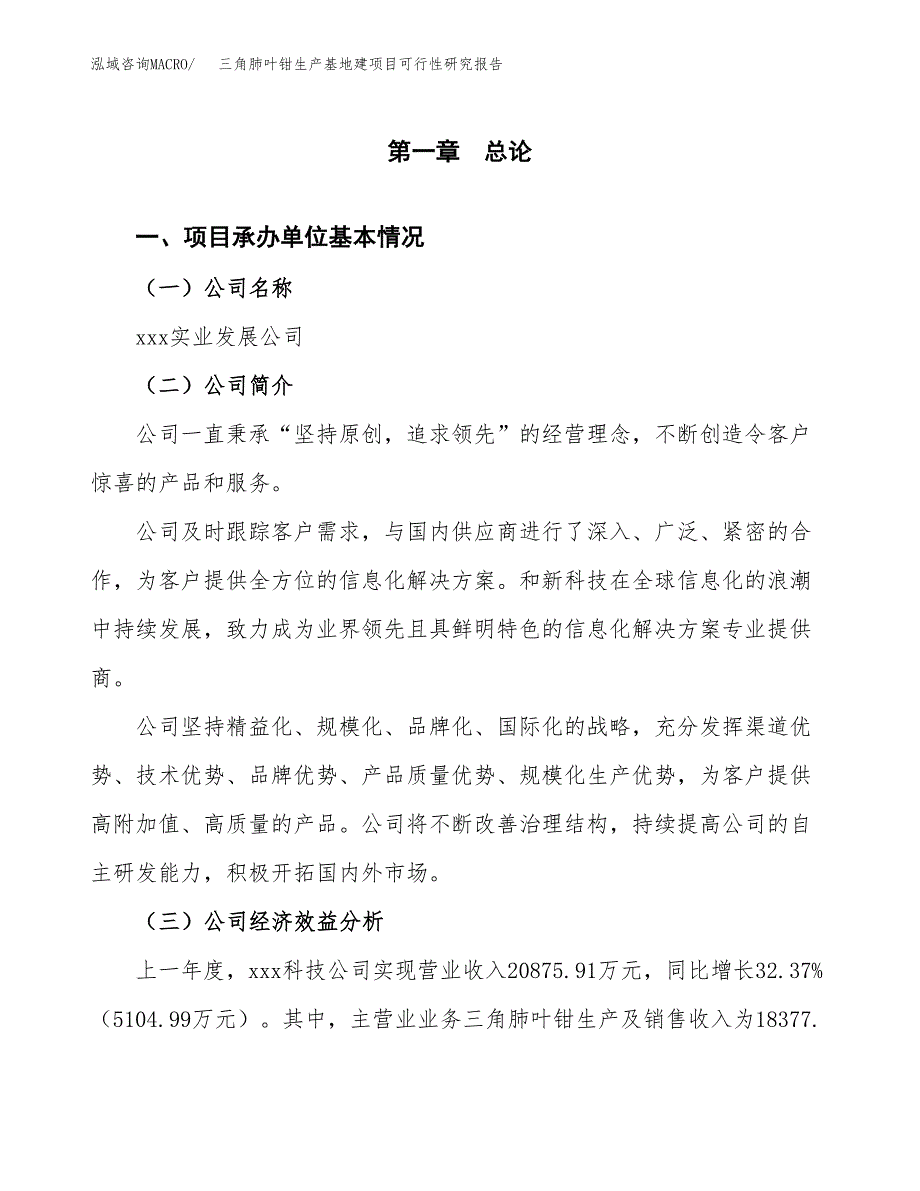 （模板）三角肺叶钳生产基地建项目可行性研究报告_第4页