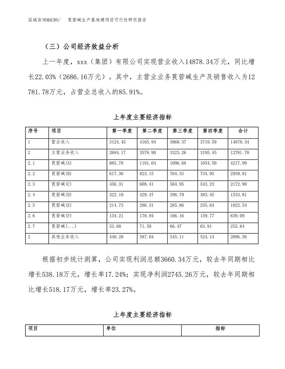 （模板）莨菪碱生产基地建项目可行性研究报告_第5页