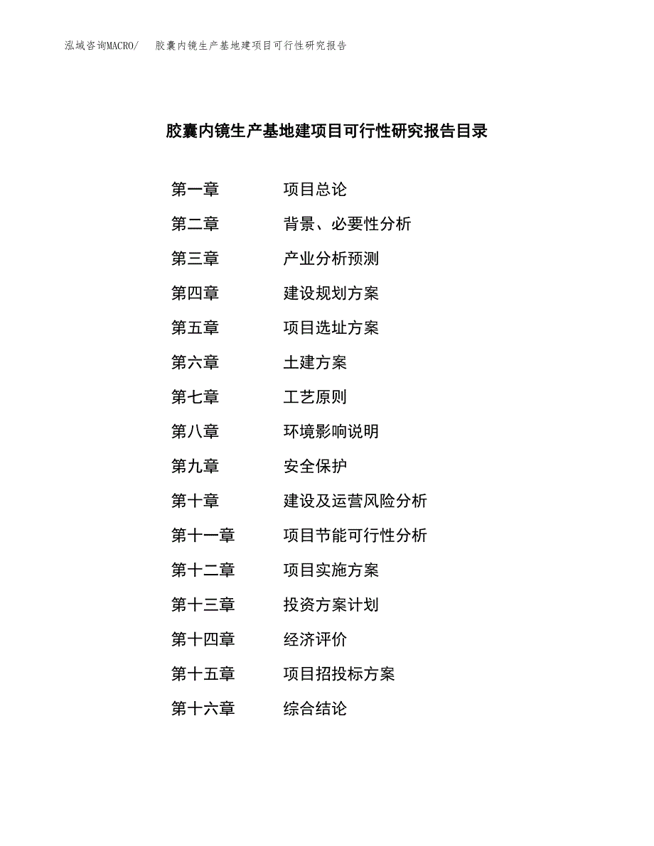 （模板）胶囊内镜生产基地建项目可行性研究报告_第3页