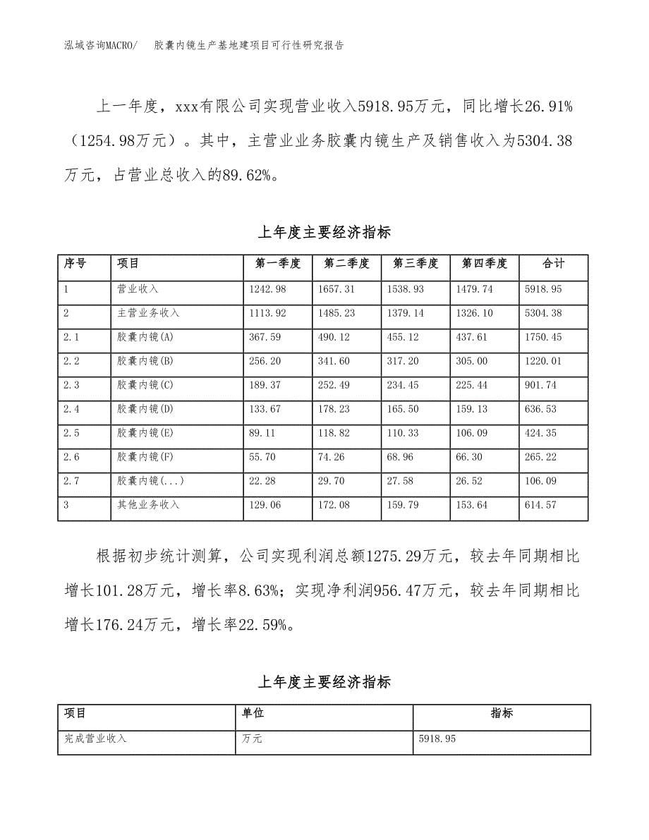 （模板）胶囊内镜生产基地建项目可行性研究报告_第5页