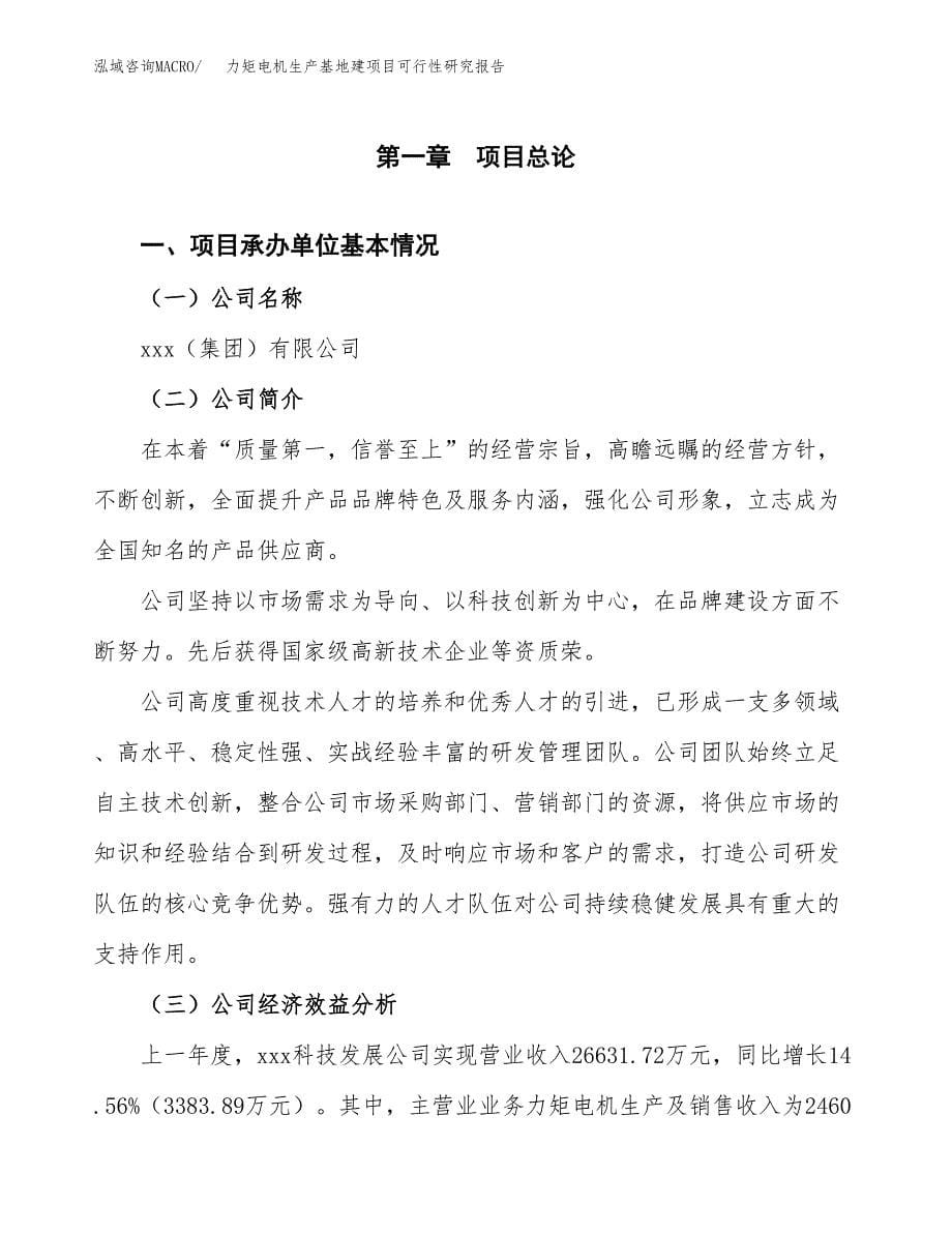 （模板）力矩电机生产基地建项目可行性研究报告_第5页