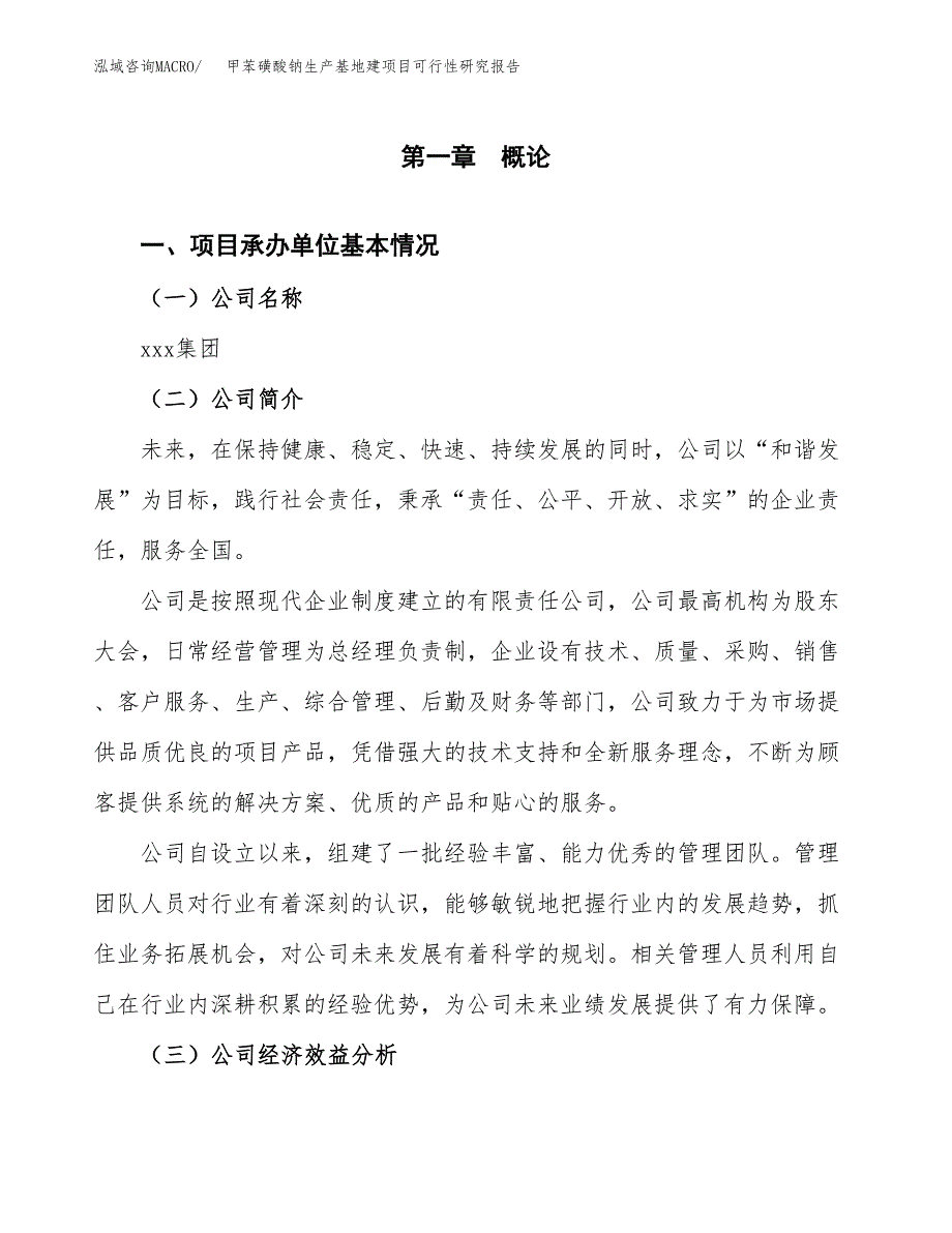 （模板）甲苯磺酸钠生产基地建项目可行性研究报告_第4页