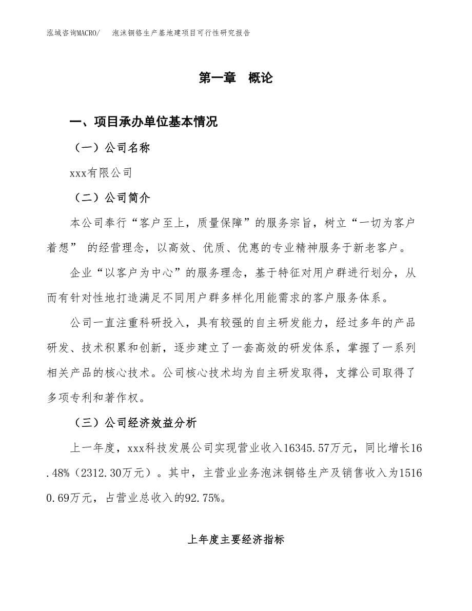 （模板）泡沫铜铬生产基地建项目可行性研究报告_第5页