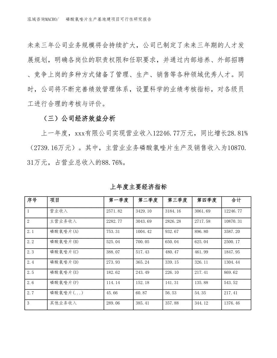 （模板）磷酸氯喹片生产基地建项目可行性研究报告_第5页