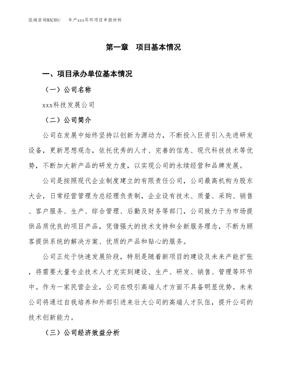 年产xxx耳环项目申报材料_第4页