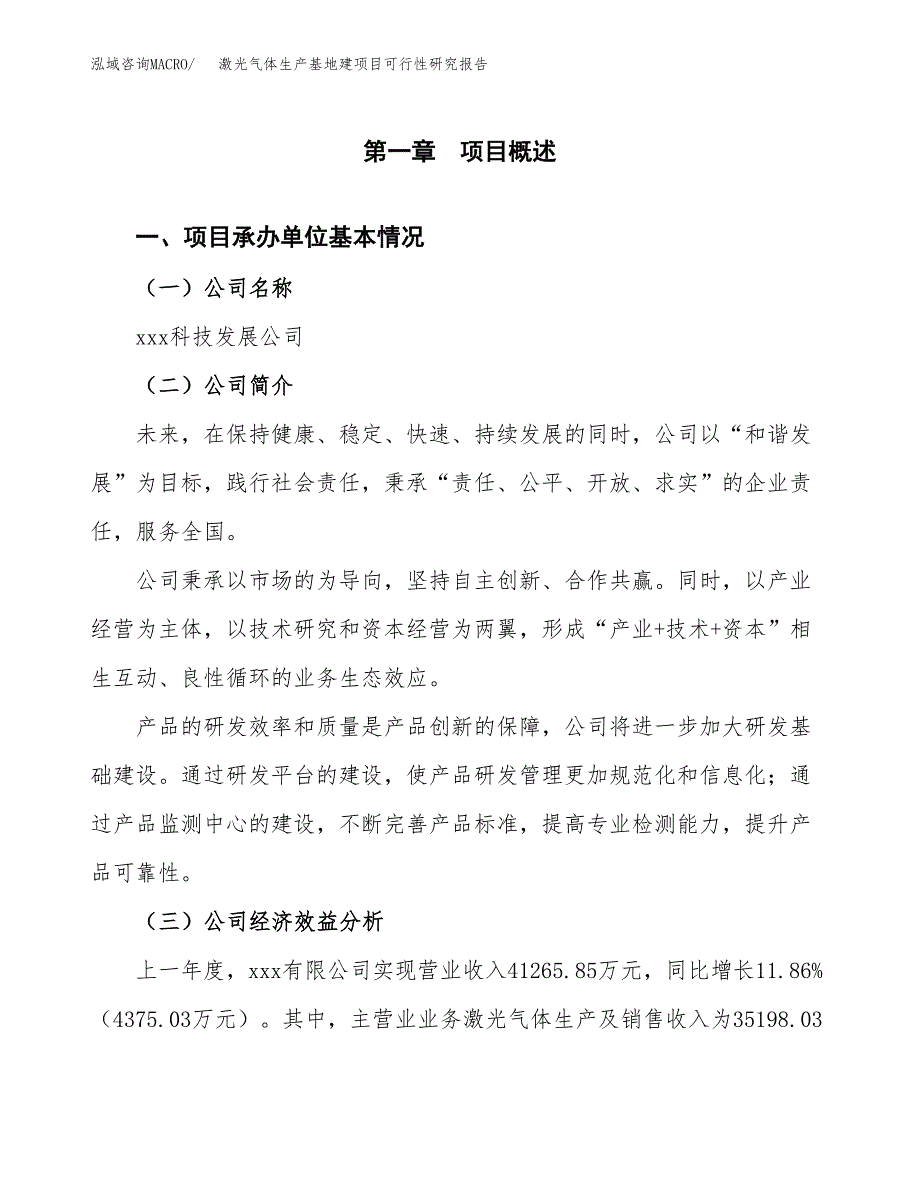 （模板）激光气体生产基地建项目可行性研究报告_第4页