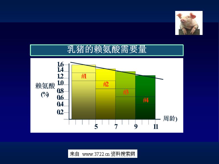 农业畜牧--猪料产品策略（ppt 16页)_第4页