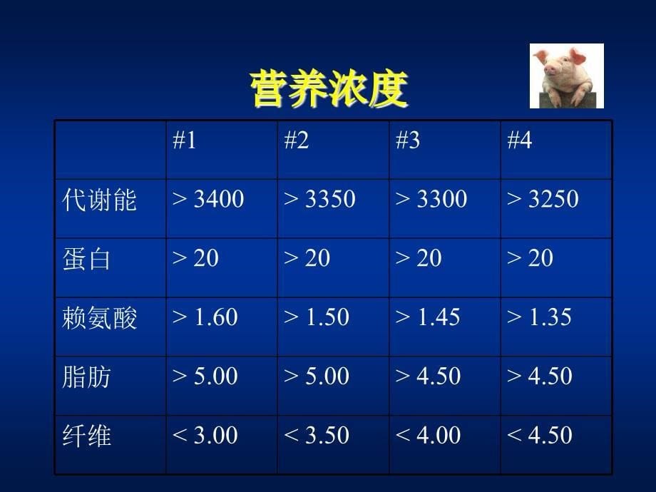 农业畜牧--猪料产品策略（ppt 16页)_第5页