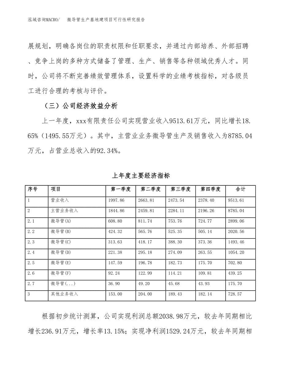 （模板）微导管生产基地建项目可行性研究报告_第5页