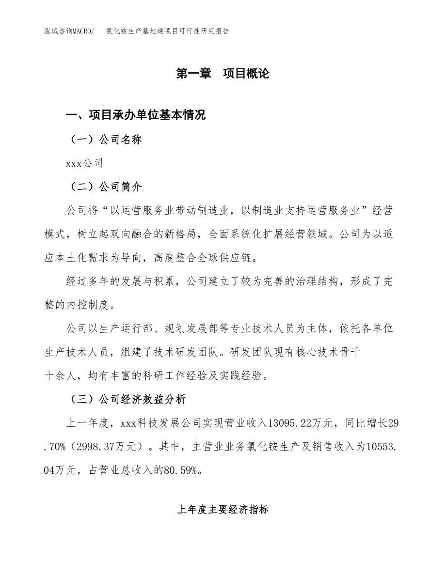 （模板）氯化铵生产基地建项目可行性研究报告_第5页