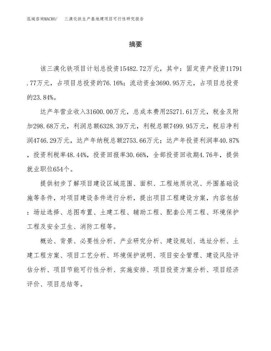 （模板）三溴化铁生产基地建项目可行性研究报告_第2页