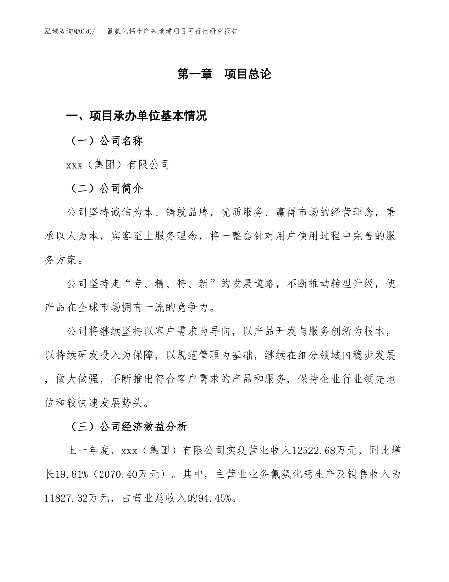 （模板）氰氨化钙生产基地建项目可行性研究报告_第4页