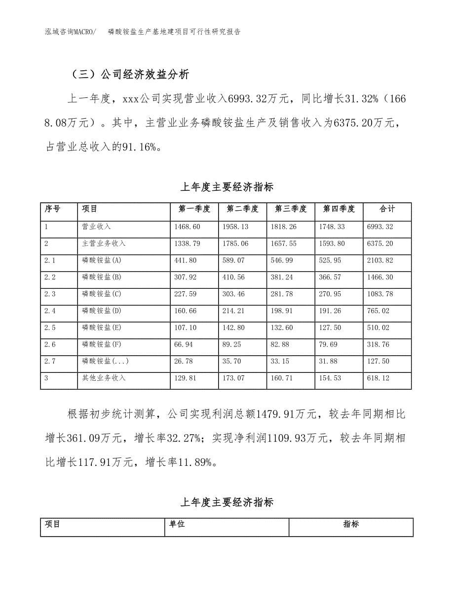 （模板）磷酸铵盐生产基地建项目可行性研究报告_第5页