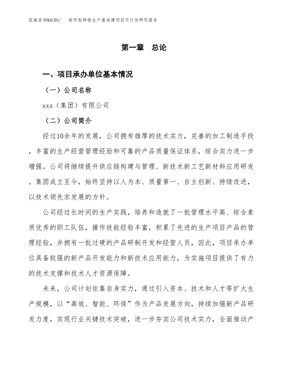 （模板）枪形取样钳生产基地建项目可行性研究报告_第4页