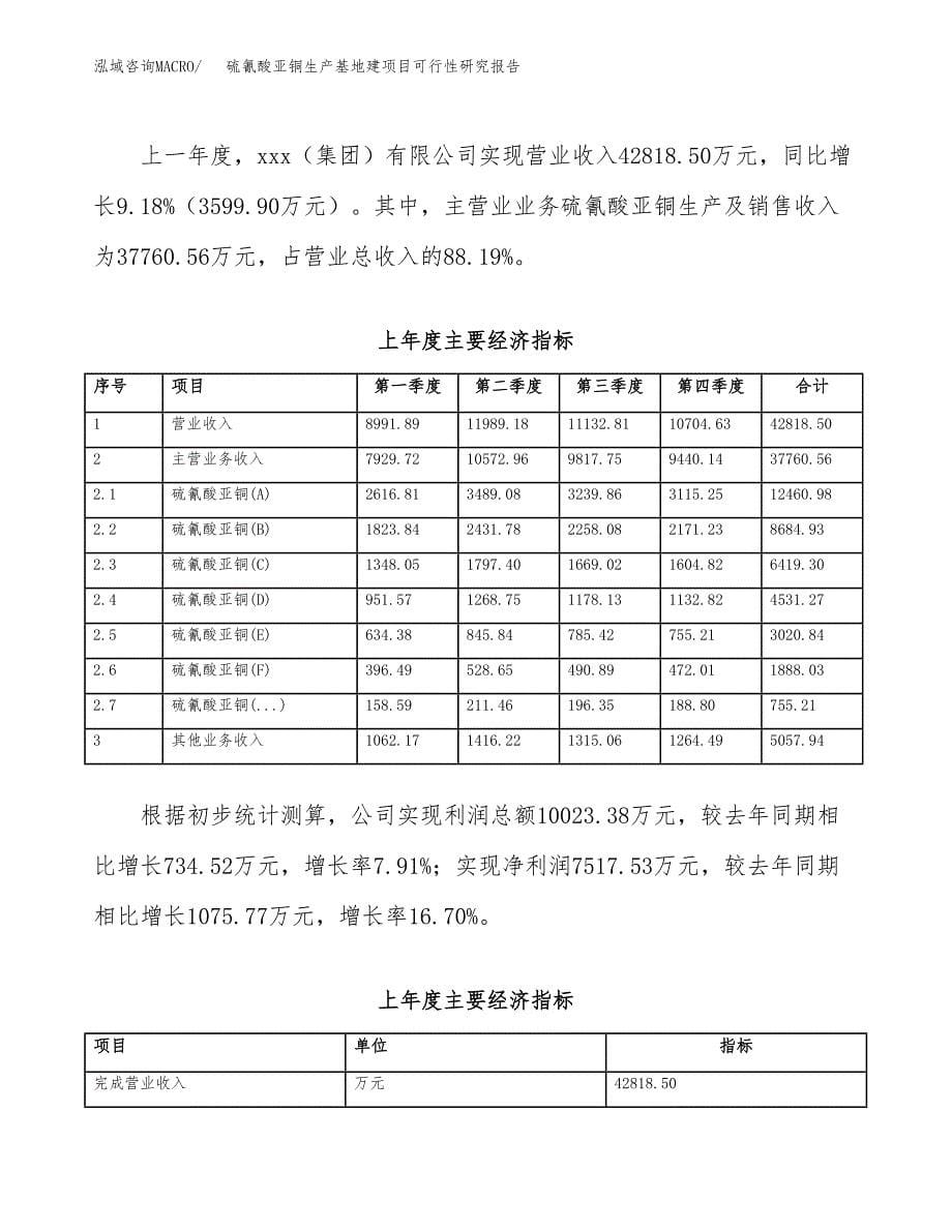 （模板）硫氰酸亚铜生产基地建项目可行性研究报告_第5页