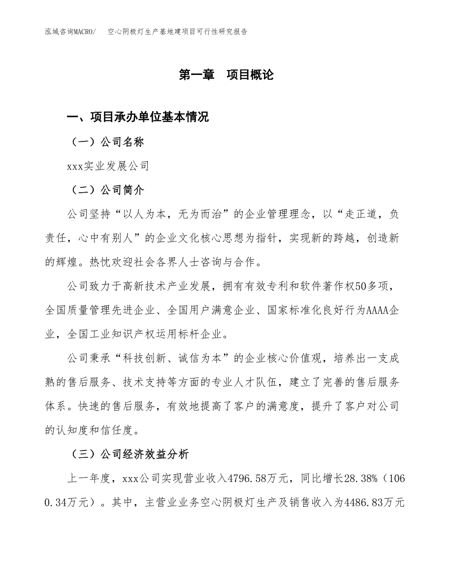 （模板）空心阴极灯生产基地建项目可行性研究报告_第4页