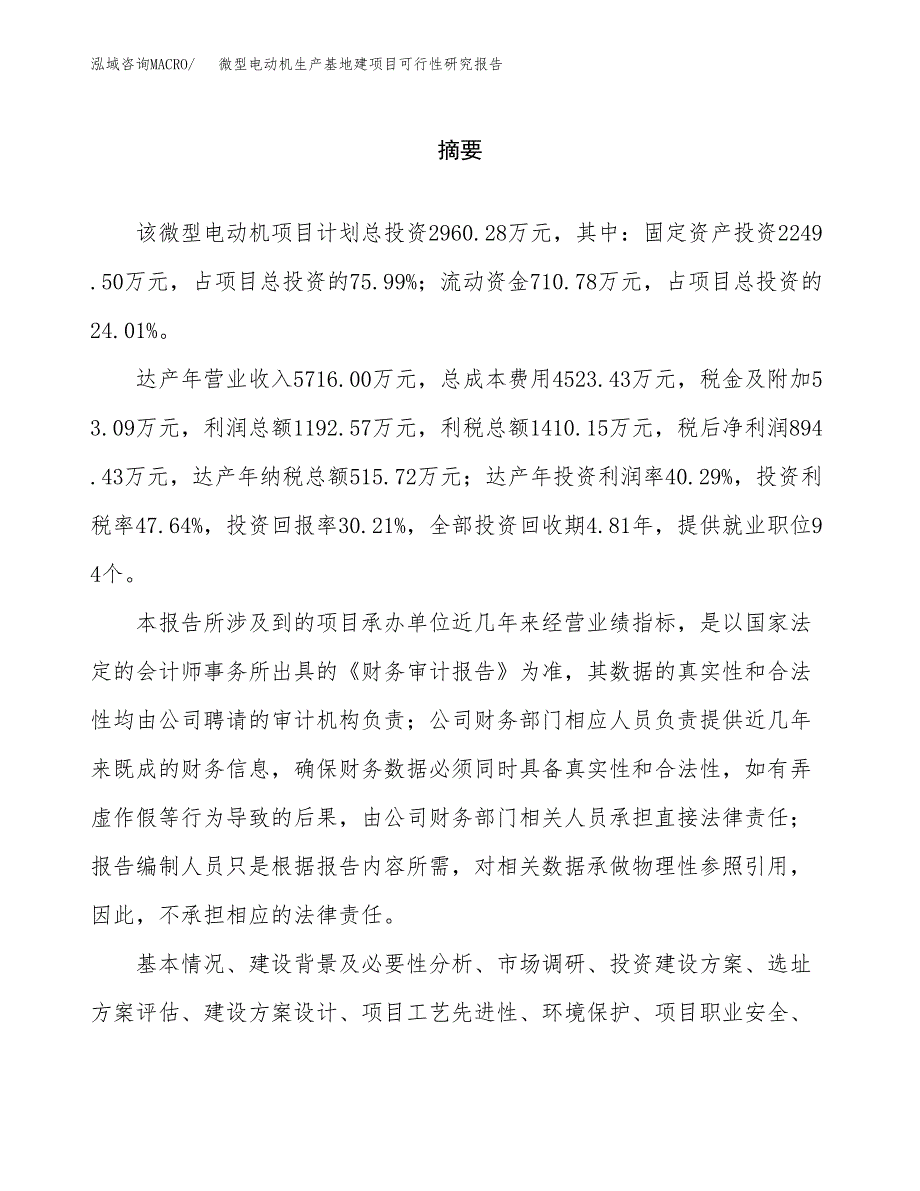 （模板）微型电动机生产基地建项目可行性研究报告_第2页