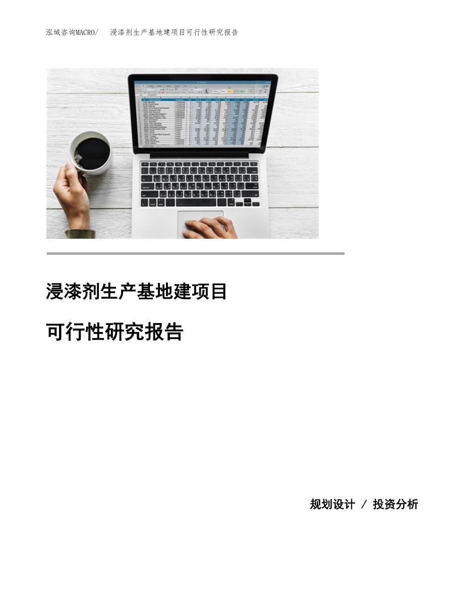 （模板）浸漆剂生产基地建项目可行性研究报告_第1页