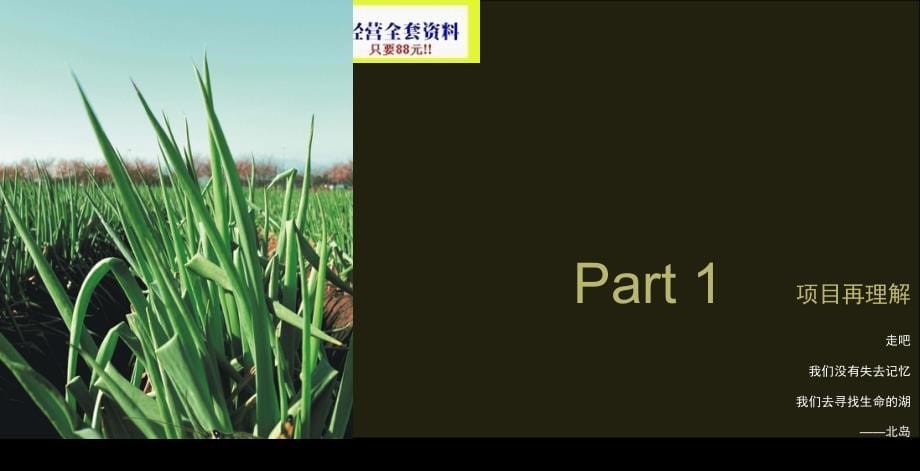 武汉西半岛高档人居社区项目营销推广思路再讨论_销售执行策略(ppt 109页) 金牌_第5页