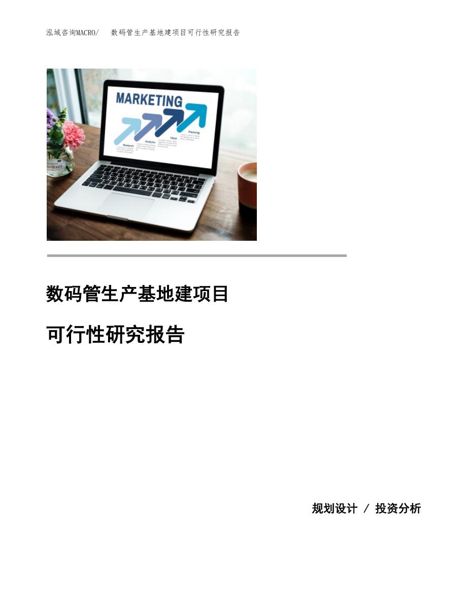 （模板）数码管生产基地建项目可行性研究报告_第1页