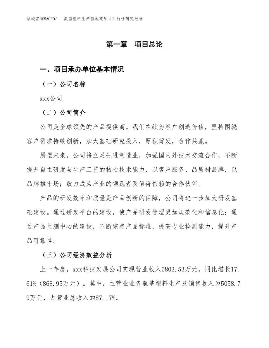 （模板）氨基塑料生产基地建项目可行性研究报告 (1)_第5页