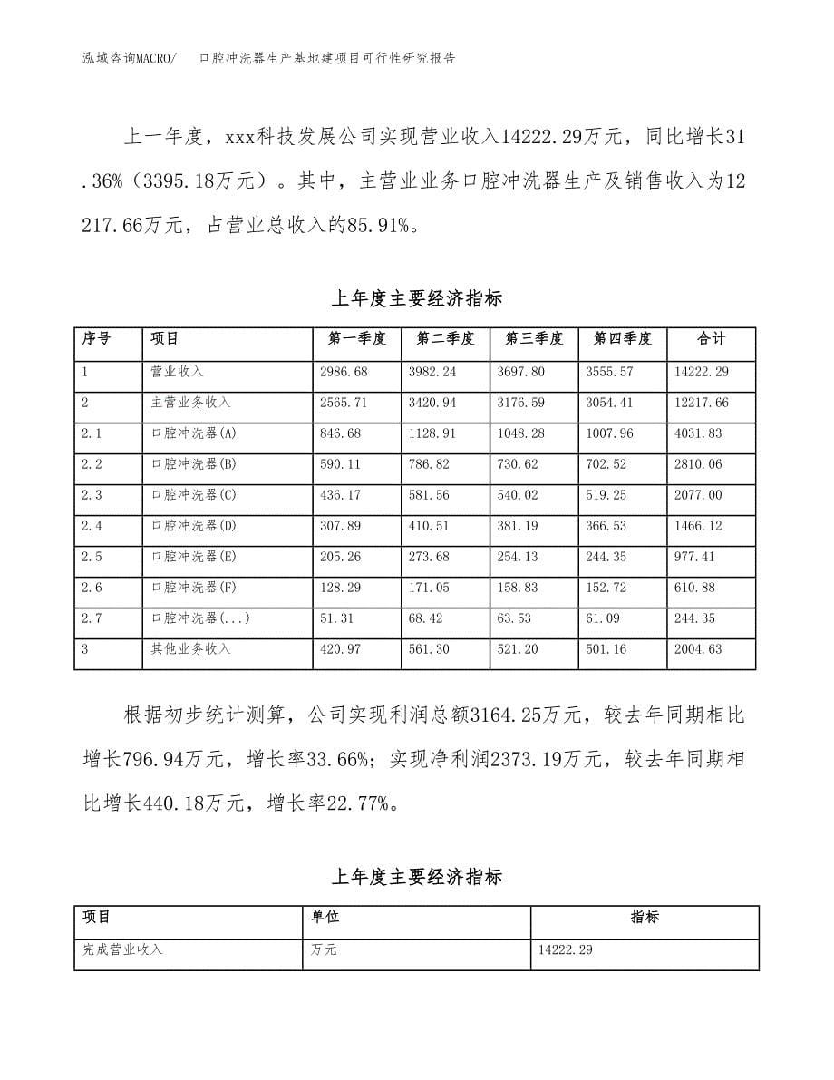 （模板）口腔冲洗器生产基地建项目可行性研究报告_第5页