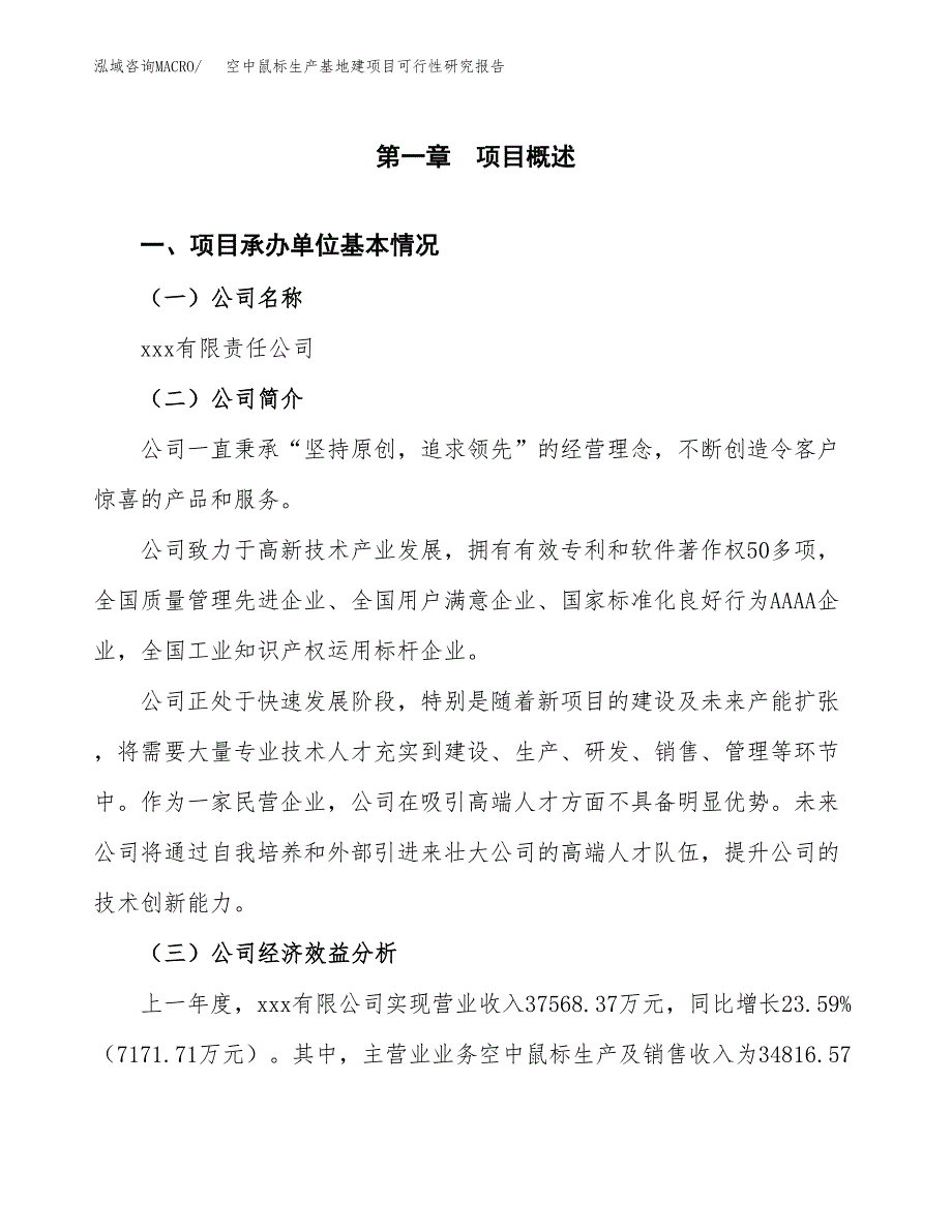 （模板）空中鼠标生产基地建项目可行性研究报告_第4页