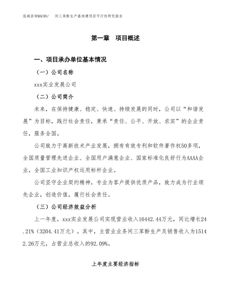 （模板）间三苯酚生产基地建项目可行性研究报告_第5页