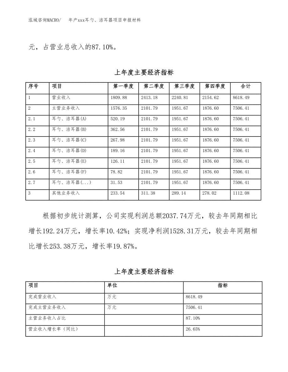 年产xxx耳勺、洁耳器项目申报材料_第5页