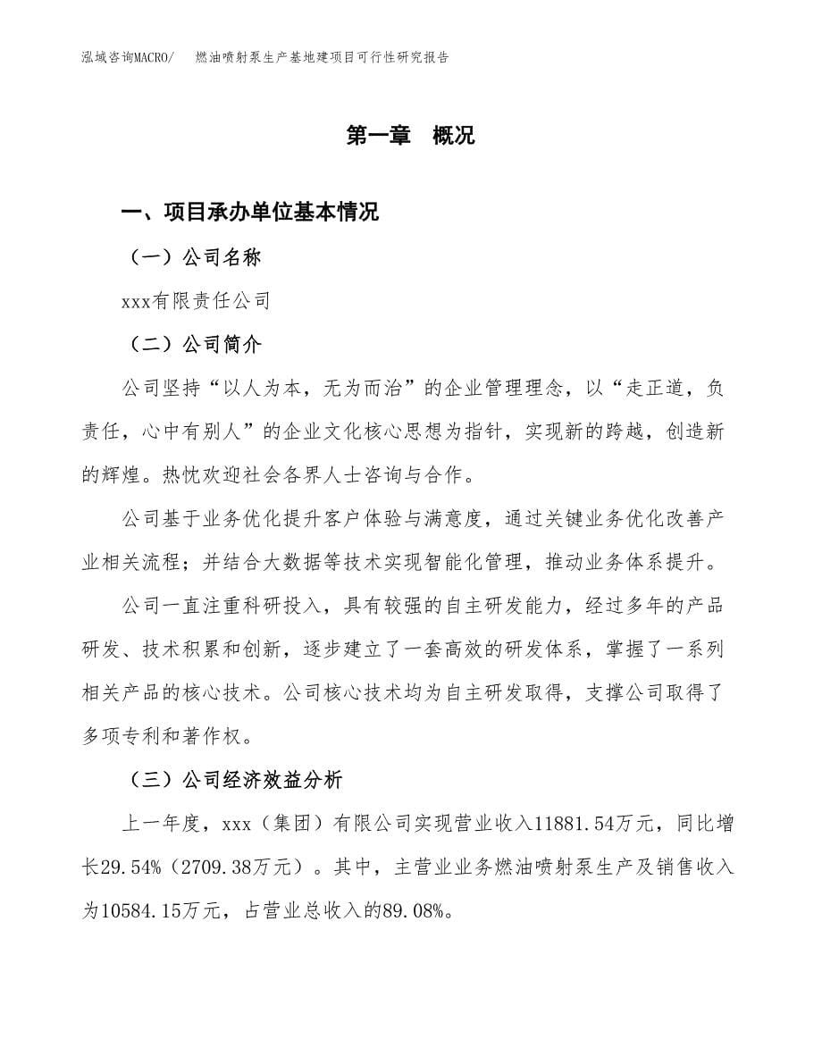 （模板）燃油喷射泵生产基地建项目可行性研究报告_第5页