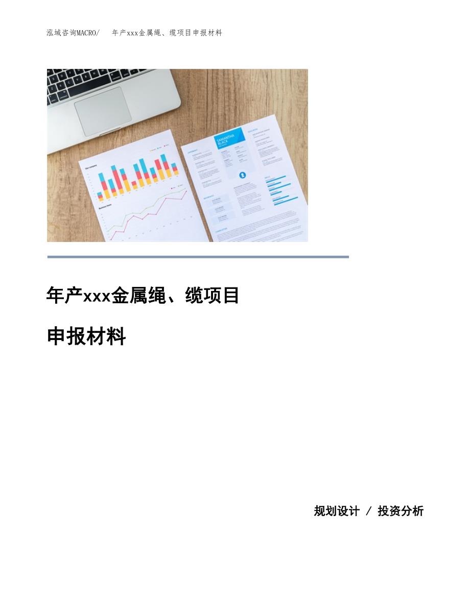 年产xxx金属绳、缆项目申报材料_第1页