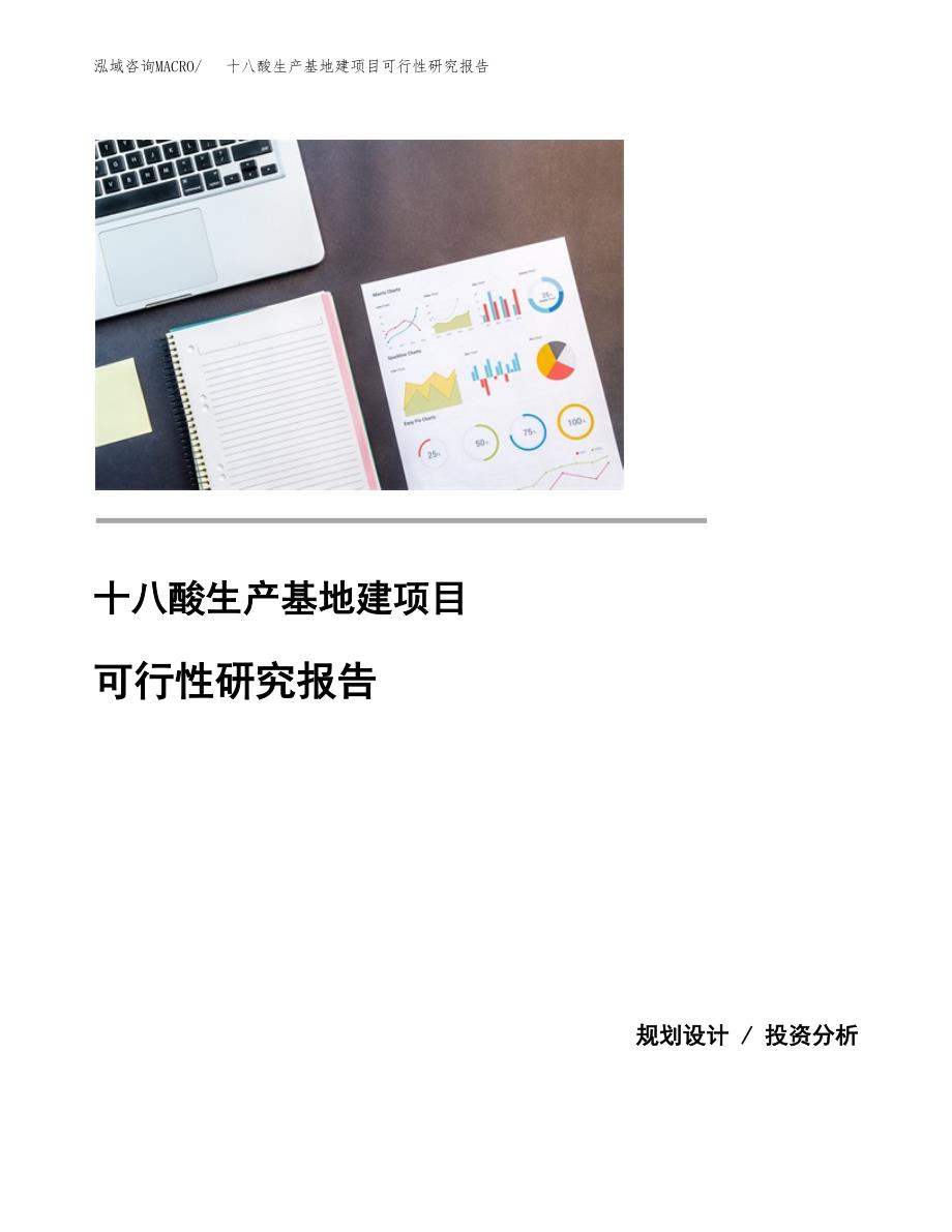 （模板）十八酸生产基地建项目可行性研究报告_第1页