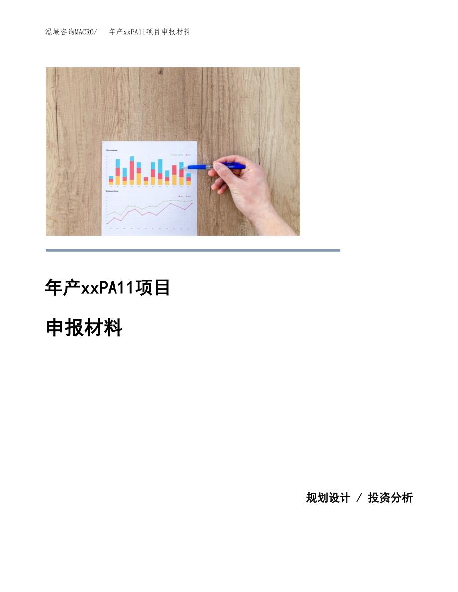 年产xxPA11项目申报材料_第1页