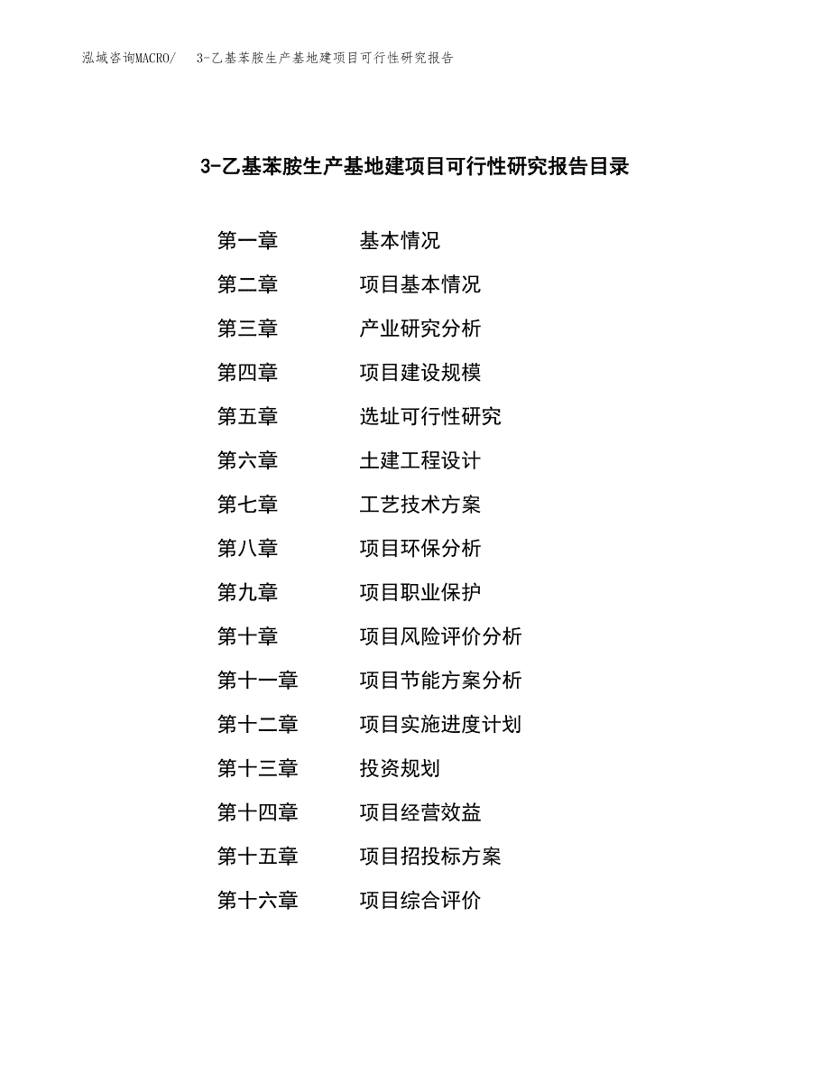 （模板）3-乙基苯胺生产基地建项目可行性研究报告_第4页